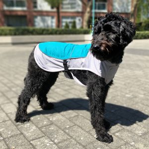 The CoolDog Dog Coat